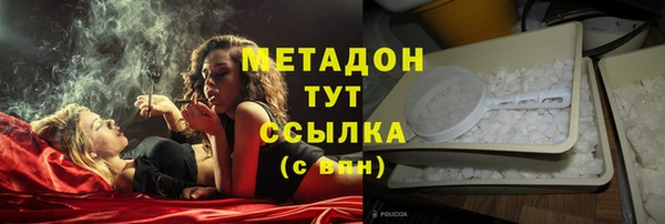 шишки Алзамай