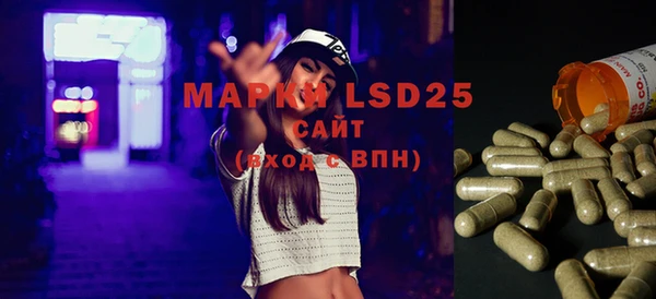 шишки Алзамай