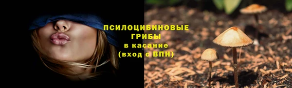 шишки Алзамай