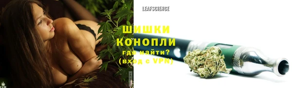 шишки Алзамай