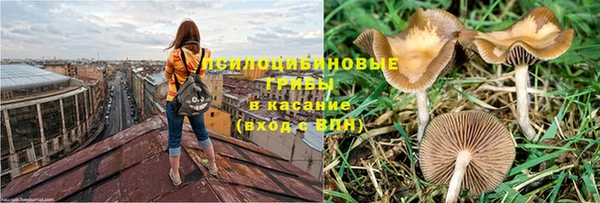 ALPHA PVP Алексеевка