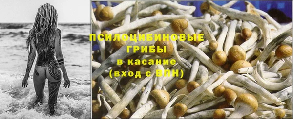 дживик Алексин