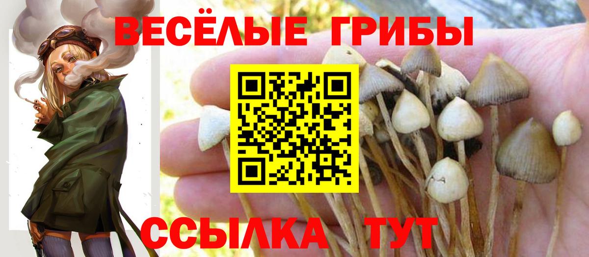 Галлюциногенные грибы мухоморы  Вход с VPN  Удомля 